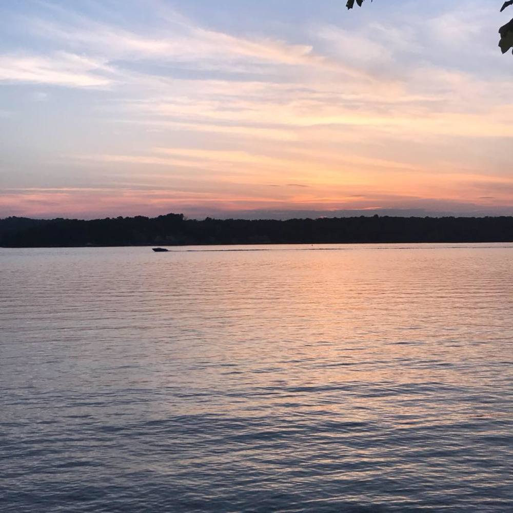 Meet your Posher, Lilly